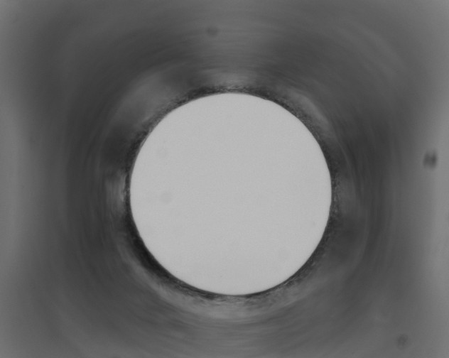 X0000094900024200711291034