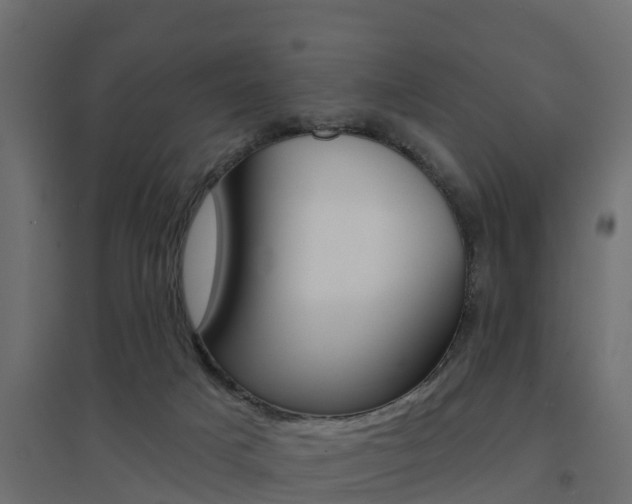 X0000094900025200711291034