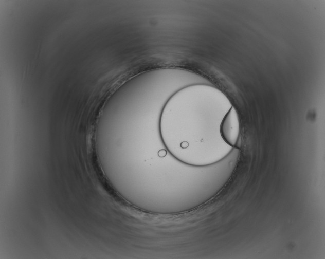 X0000094900026200711291034