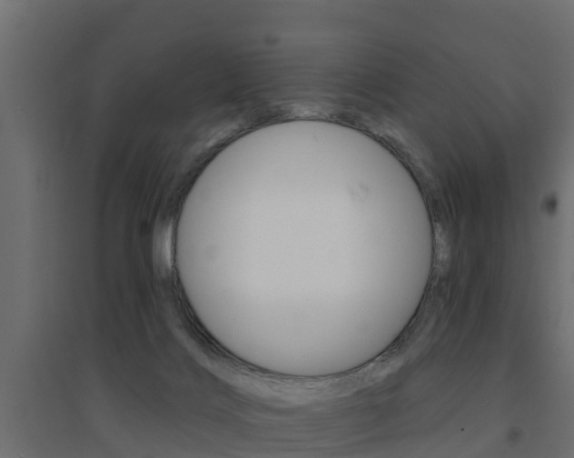 X0000094900028200711291034