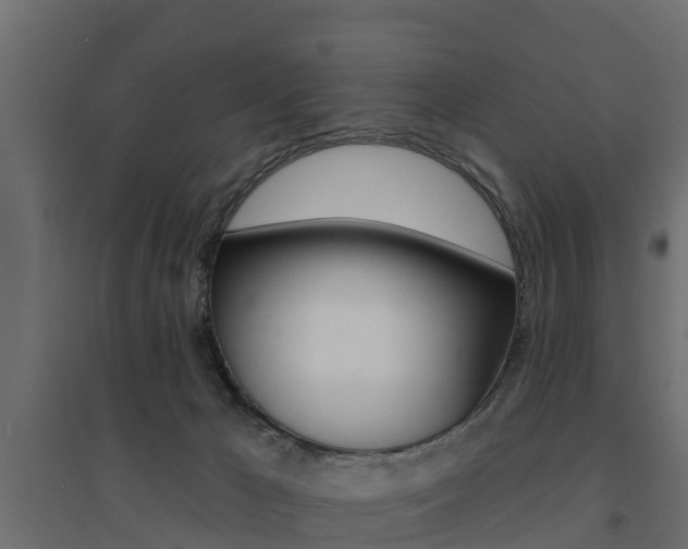 X0000094900029200711291034