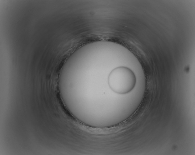 X0000094900030200711291034