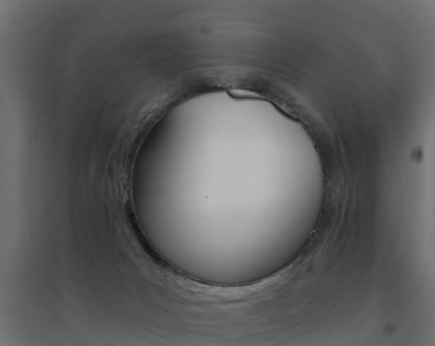X0000094900031200711291034