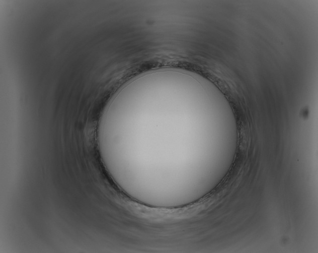 X0000094900034200711291034