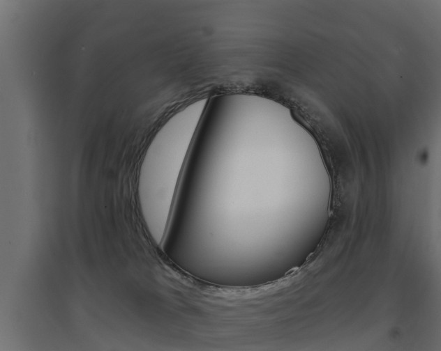 X0000094900037200711291034