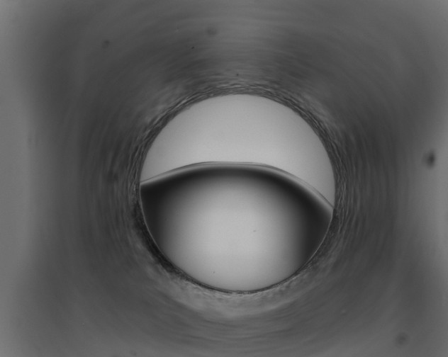 X0000094900039200711291034