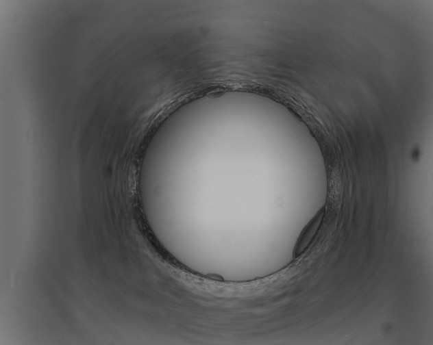 X0000094900043200711291034