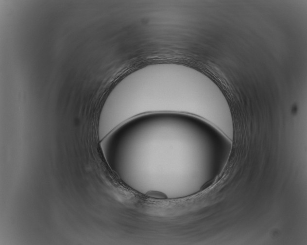X0000094900045200711291034