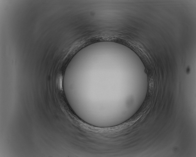 X0000094900046200711291034