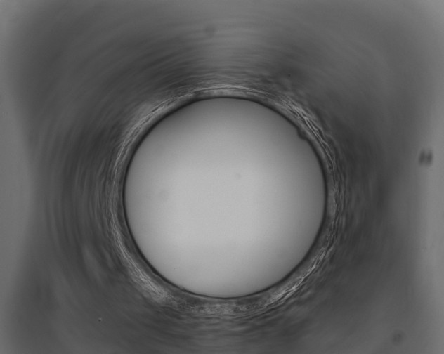 X0000094900049200711291033