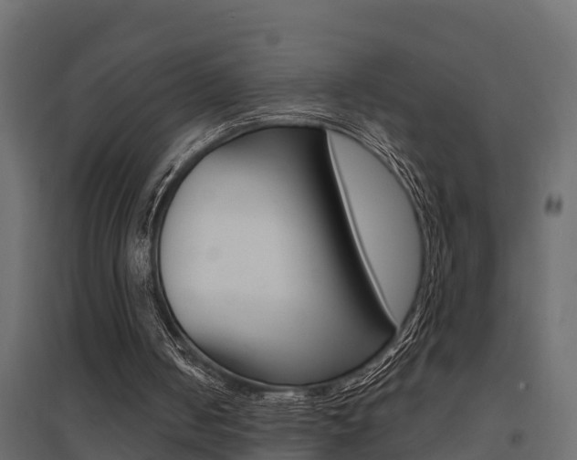 X0000094900050200711291033