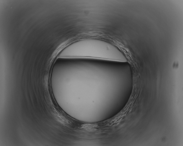 X0000094900051200711291033