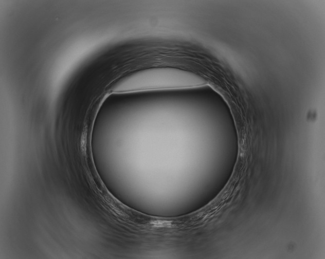 X0000094900052200711291033
