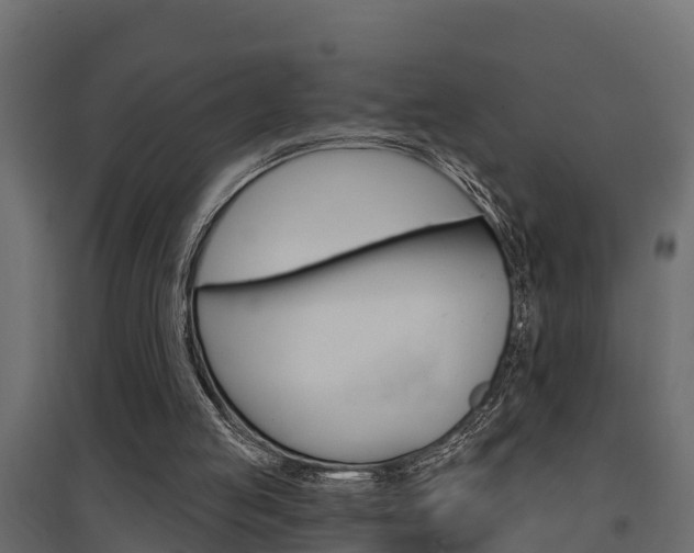 X0000094900053200711291033