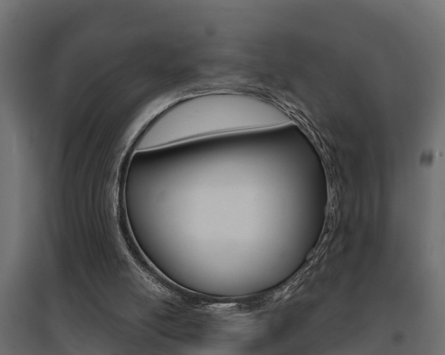 X0000094900054200711291033