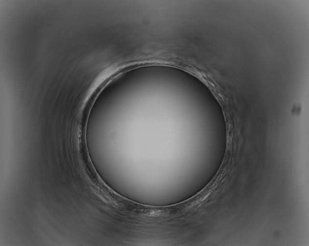 X0000094900056200711291033