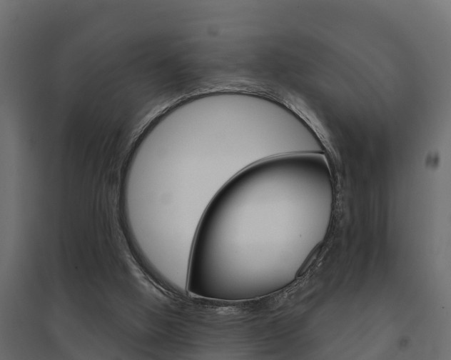 X0000094900058200711291033