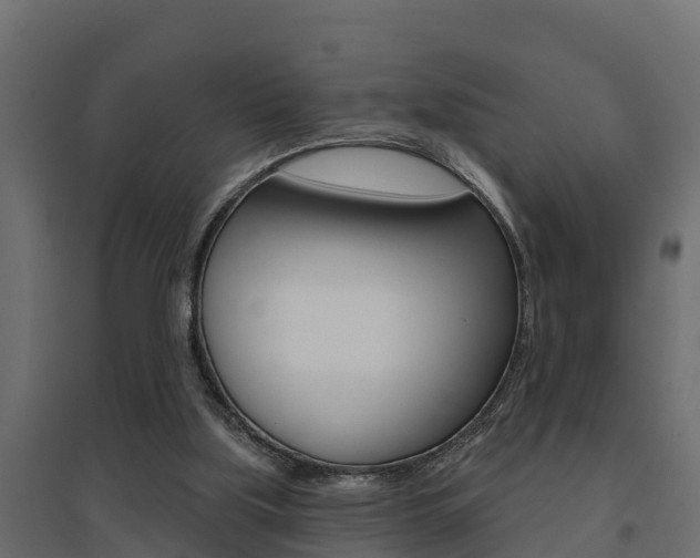 X0000094900059200711291033