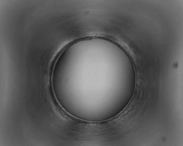 X0000094900060200711291033