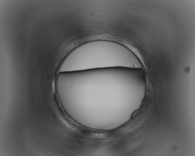 X0000094900061200711291033