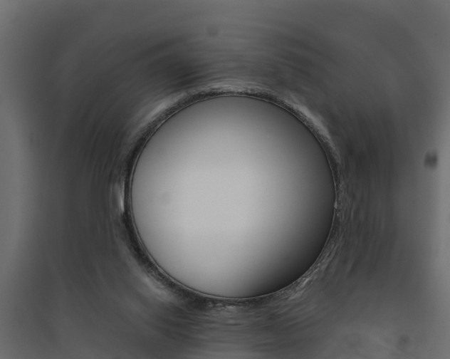 X0000094900062200711291033