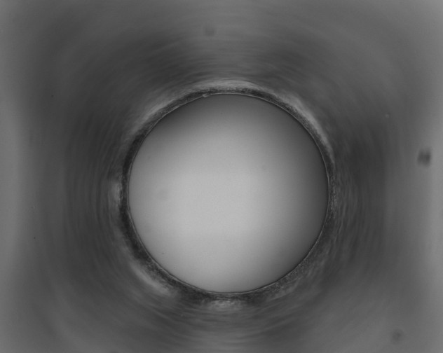 X0000094900063200711291033