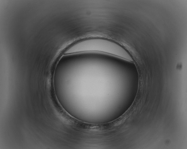 X0000094900064200711291033