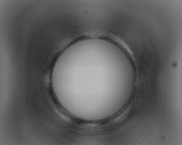 X0000094900065200711291033