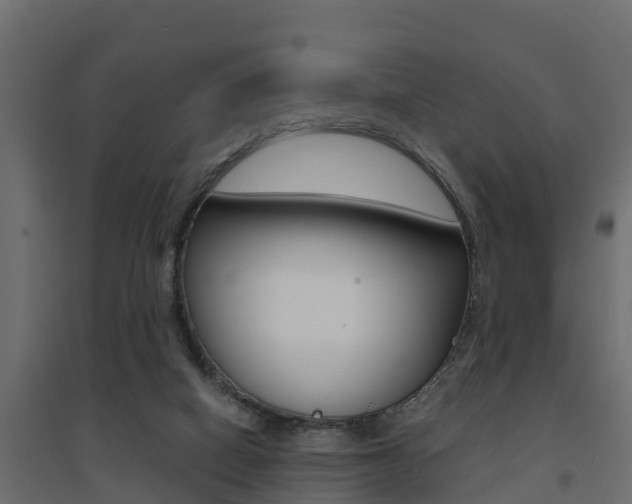 X0000094900066200711291033