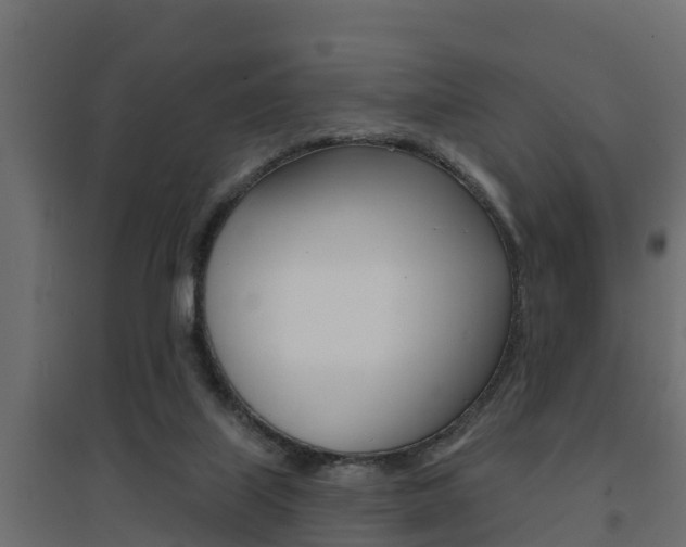 X0000094900067200711291033