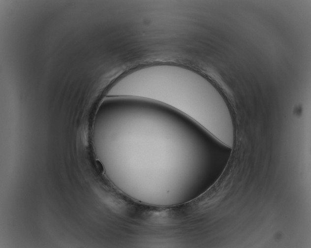 X0000094900068200711291033