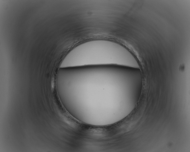X0000094900069200711291033
