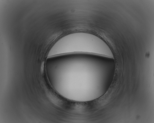 X0000094900070200711291033