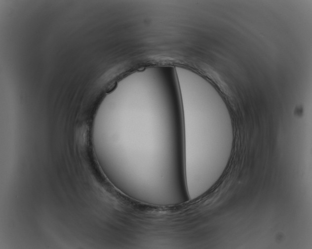 X0000094900071200711291033
