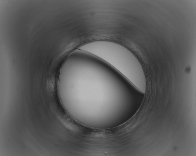 X0000094900072200711291033