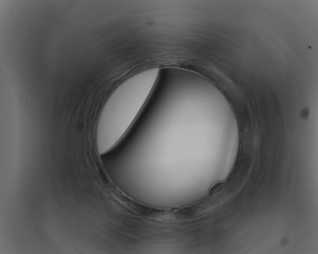 X0000094900075200711291033