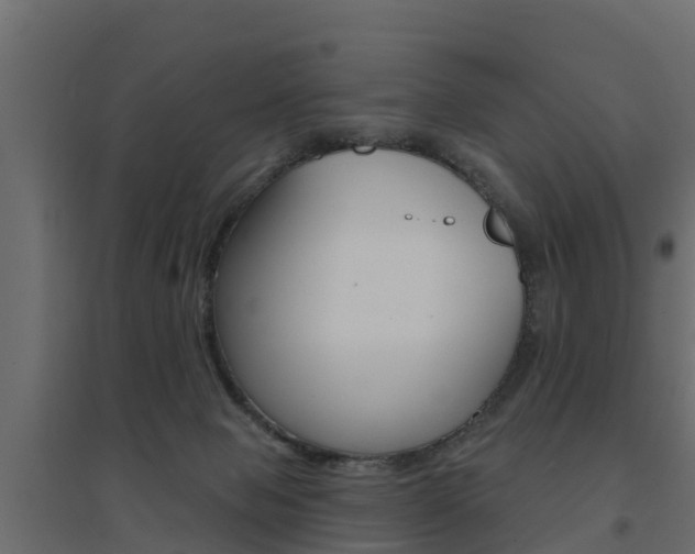 X0000094900077200711291033