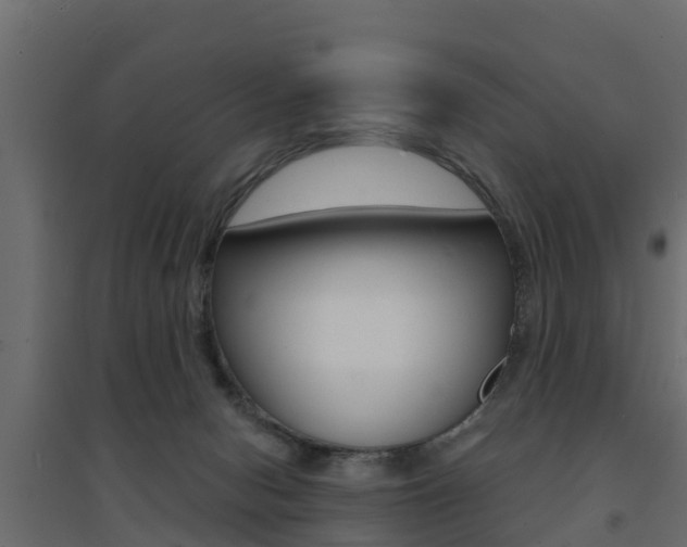 X0000094900078200711291033