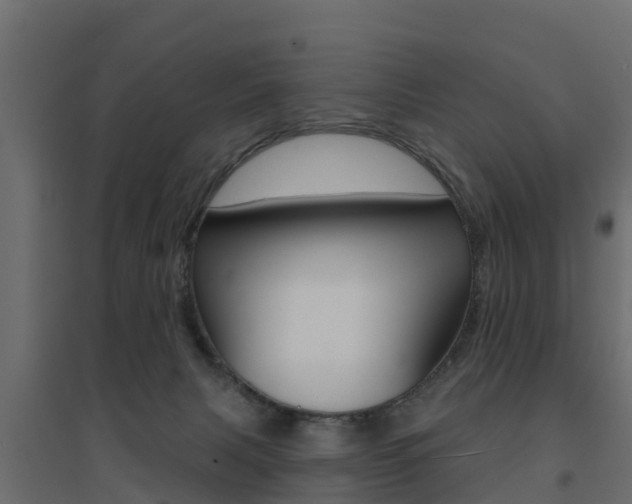 X0000094900079200711291033