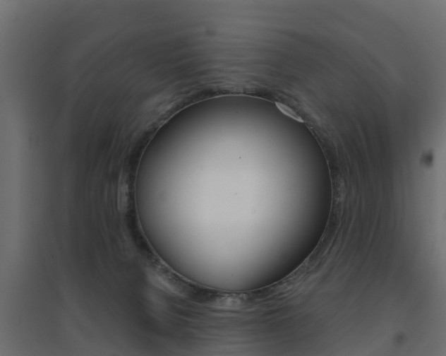 X0000094900080200711291033
