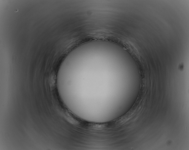 X0000094900081200711291033