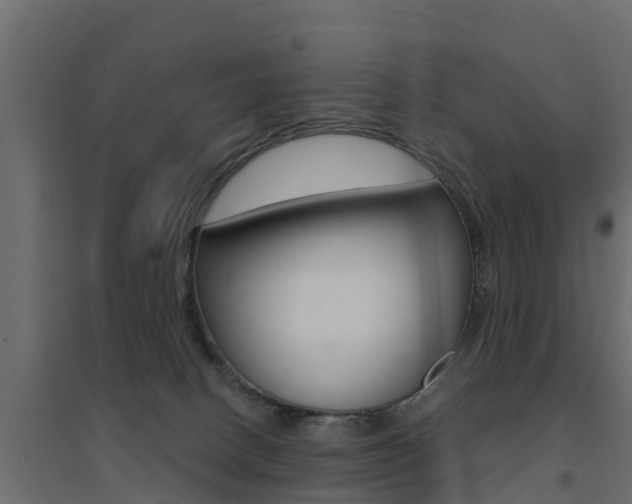 X0000094900082200711291033