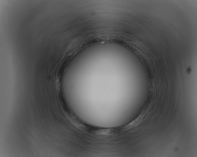X0000094900086200711291033