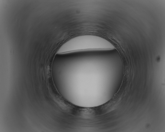 X0000094900087200711291033
