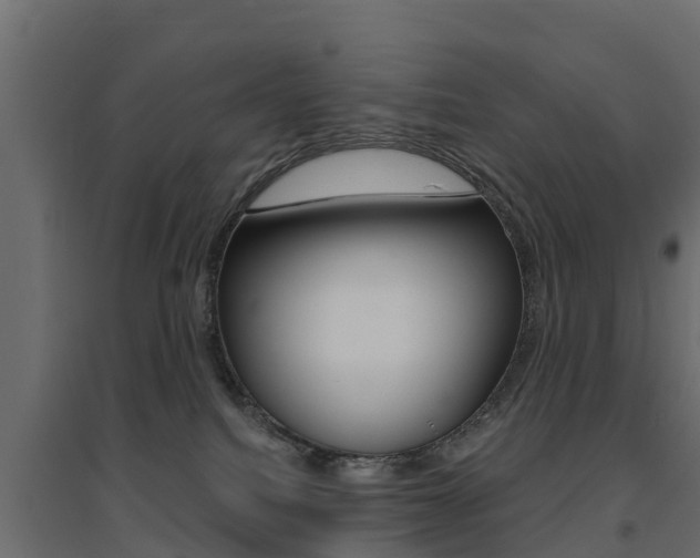 X0000094900088200711291033