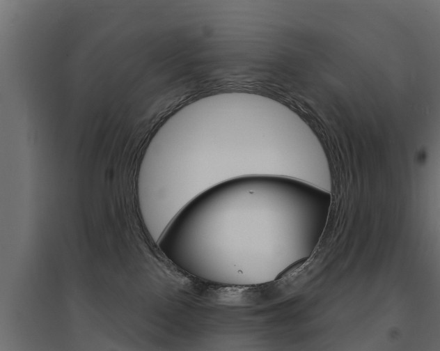 X0000094900090200711291033