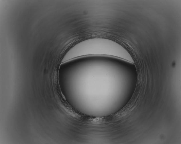 X0000094900092200711291033