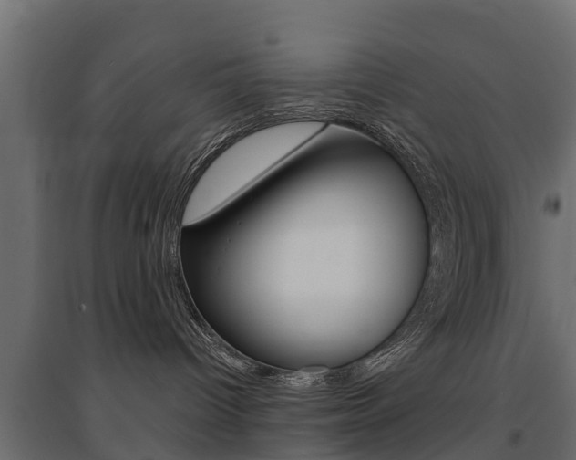 X0000094900096200711291033
