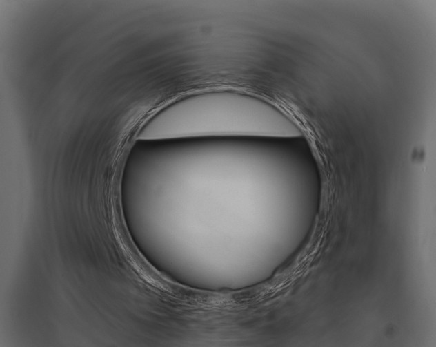 X0000094900097200711291033