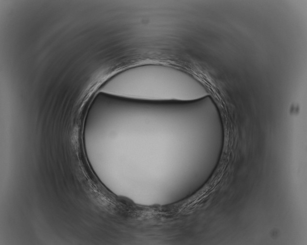 X0000094900098200711291033